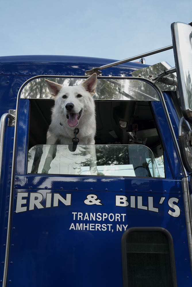 Dog in Erin & Bill's Transport truck